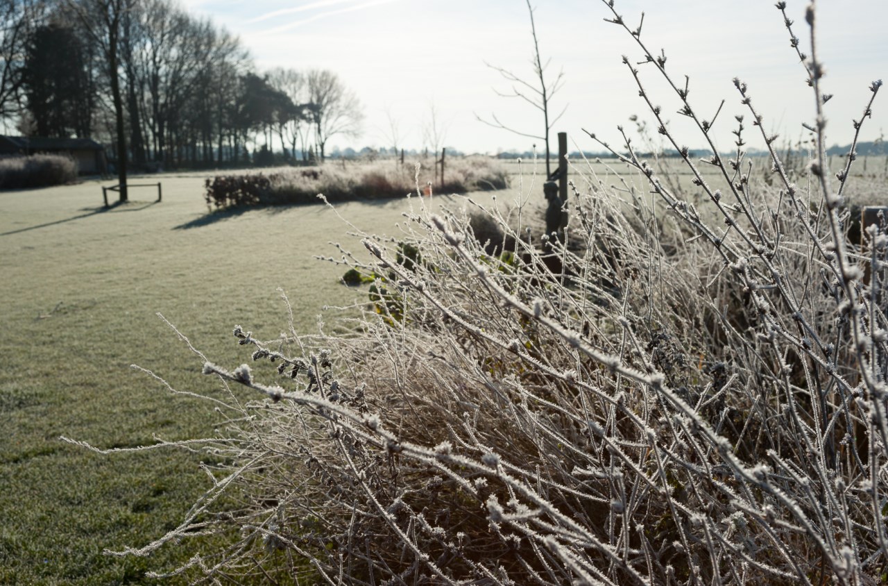 Rust en ruimte winter -07327