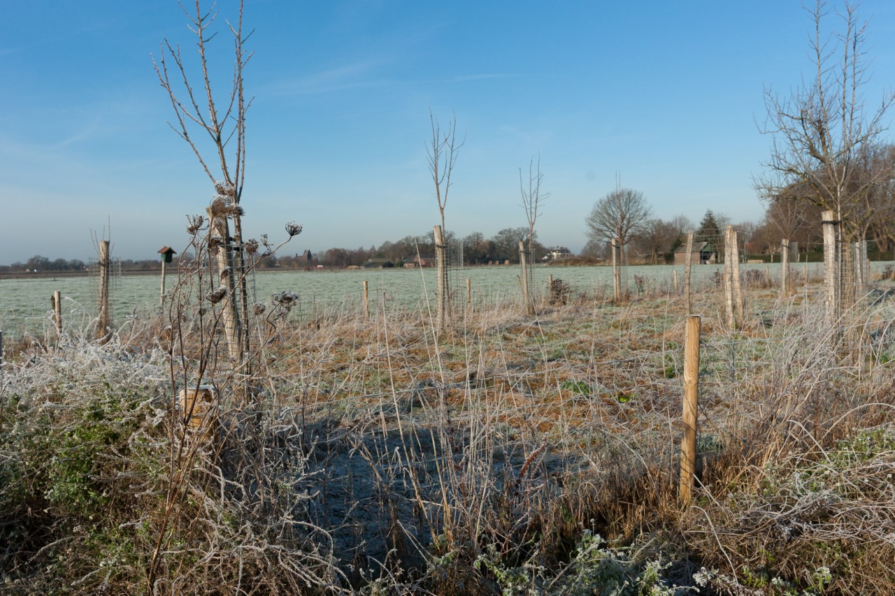 Rust en ruimte winter -07328