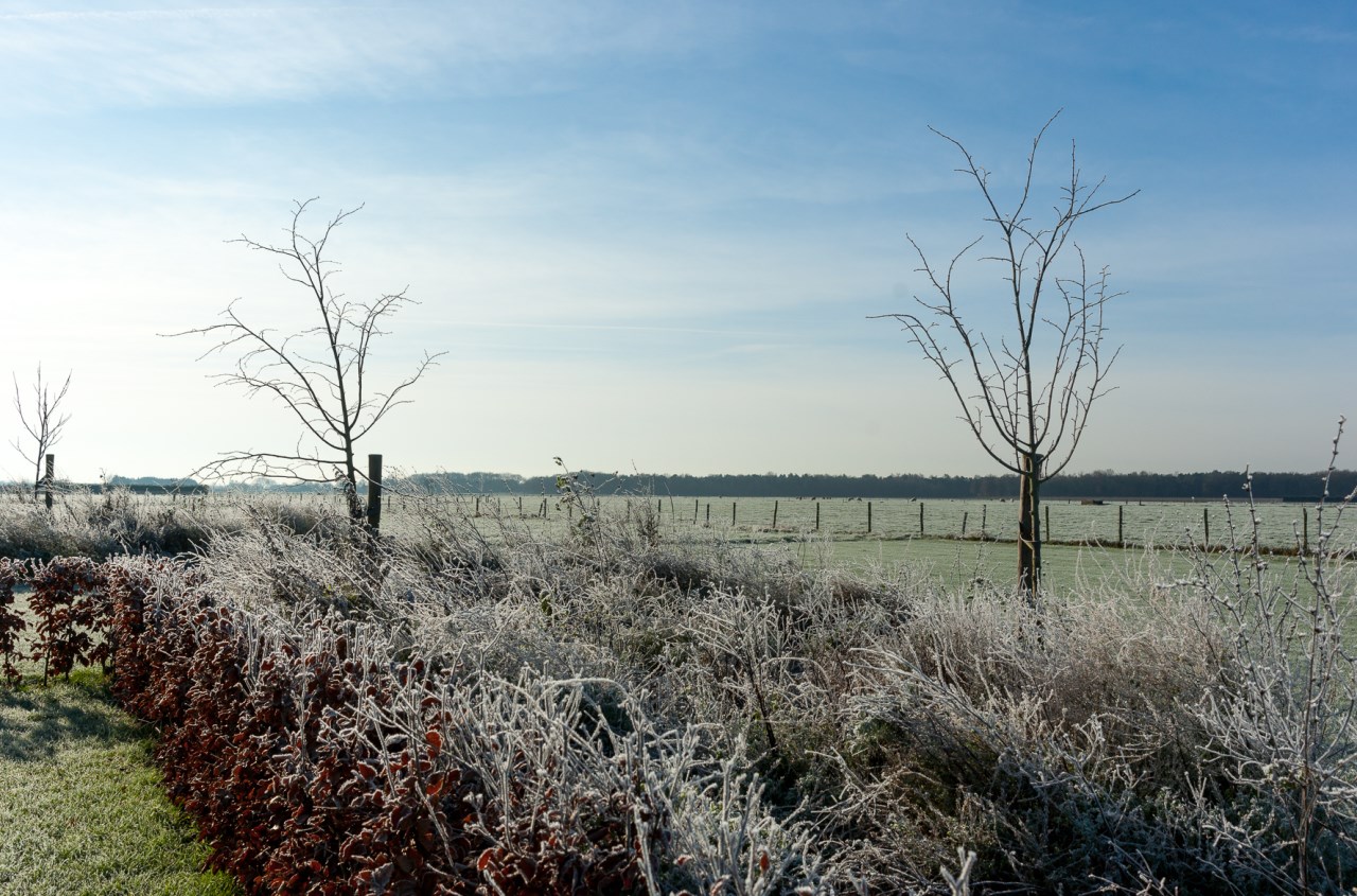 Rust en ruimte winter -07333