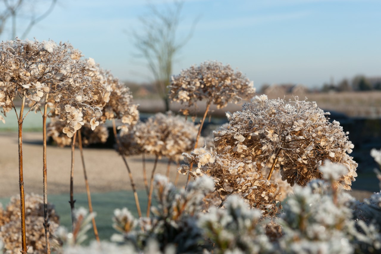 Rust en ruimte winter -07344