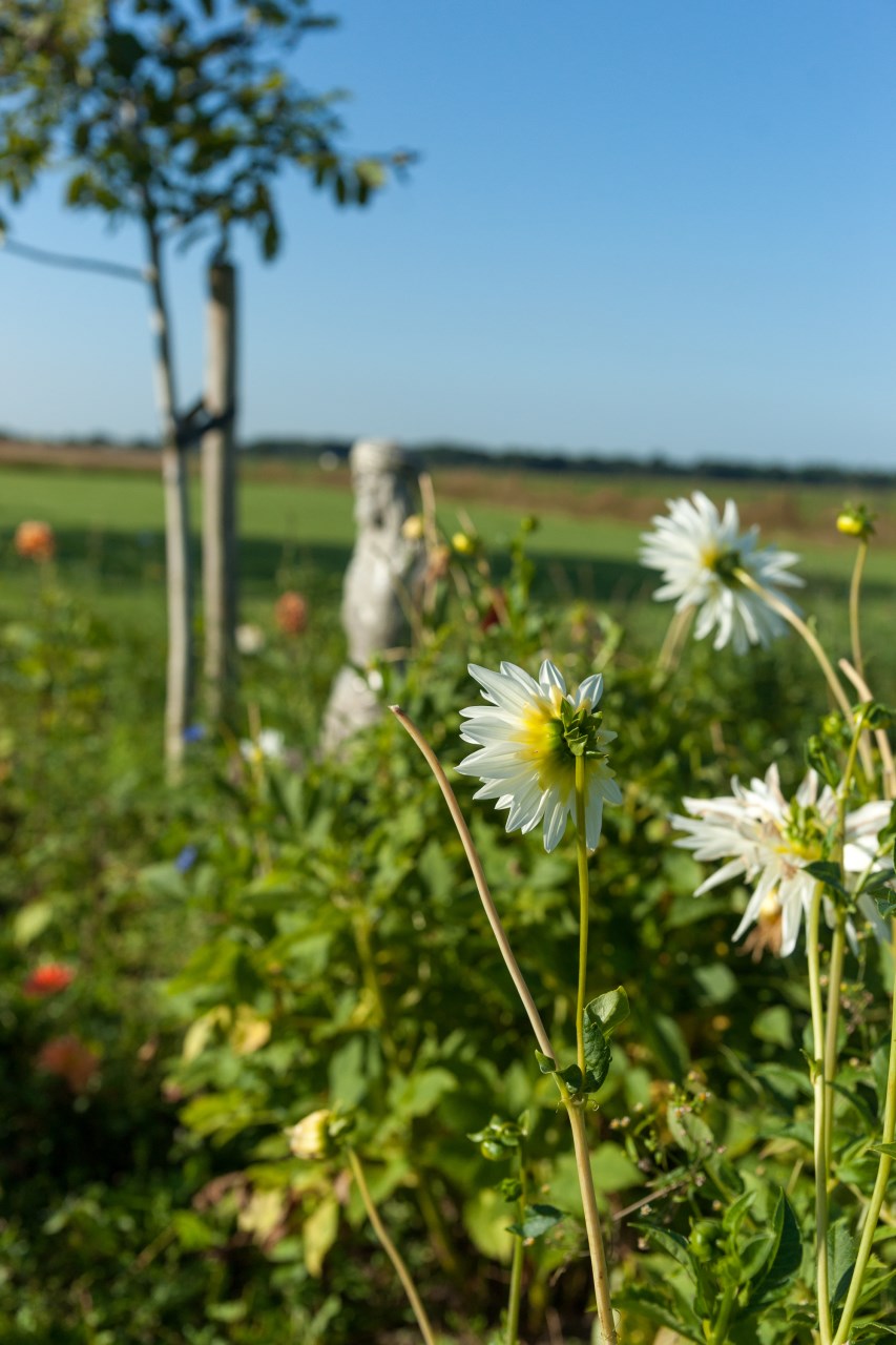 Rust en Ruimte-01494