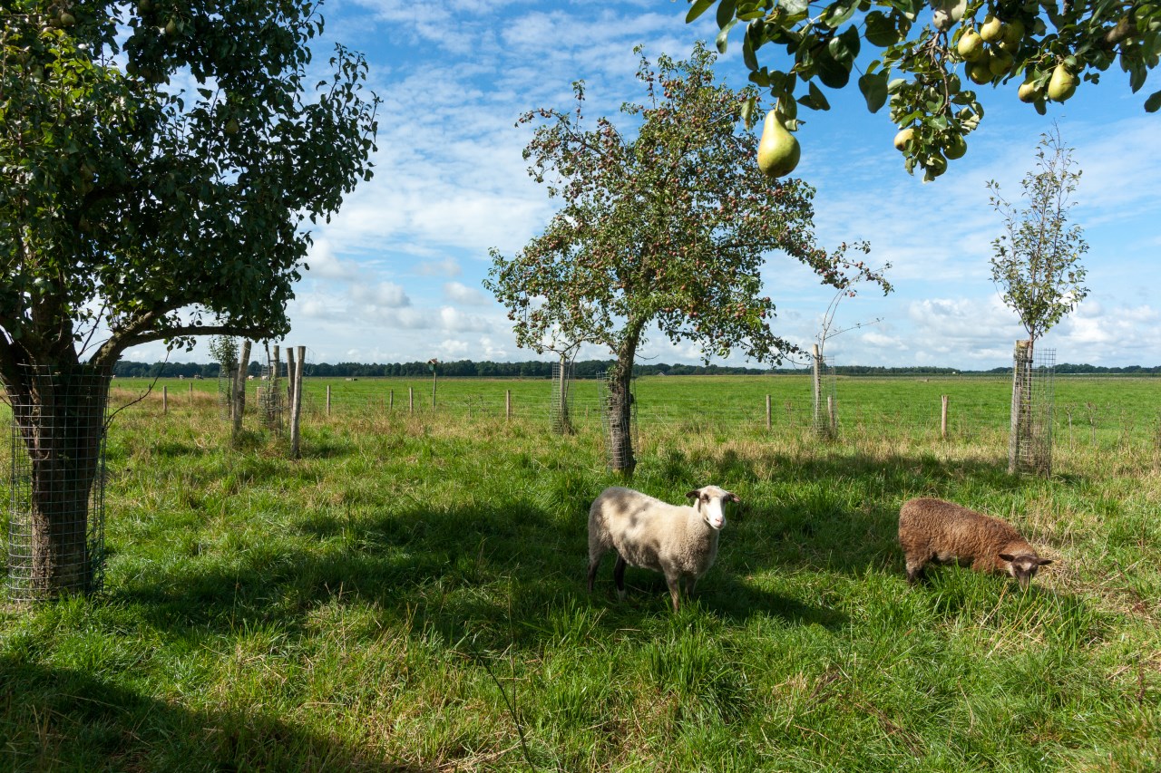 Rust en Ruimte-01582