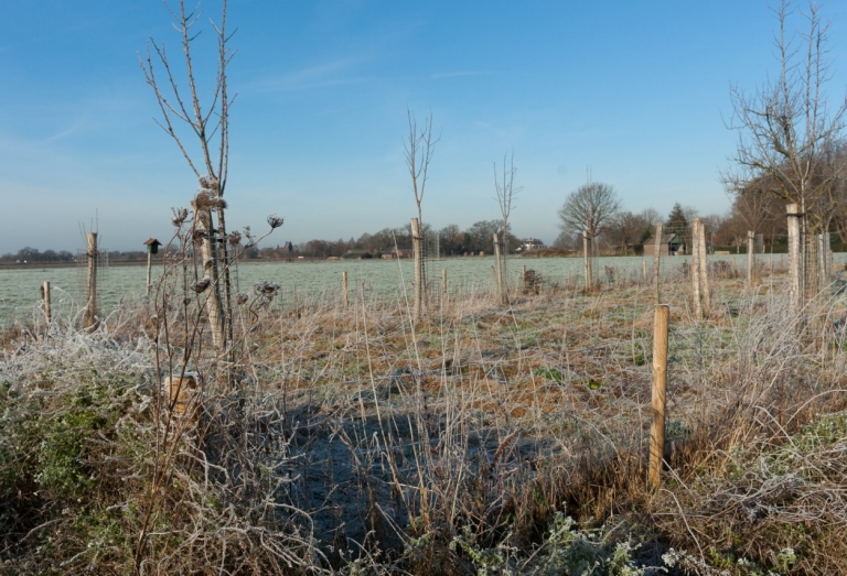 Rust en ruimte winter -07328