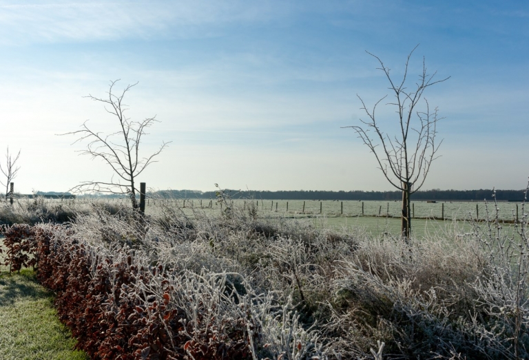 Rust en ruimte winter -07333